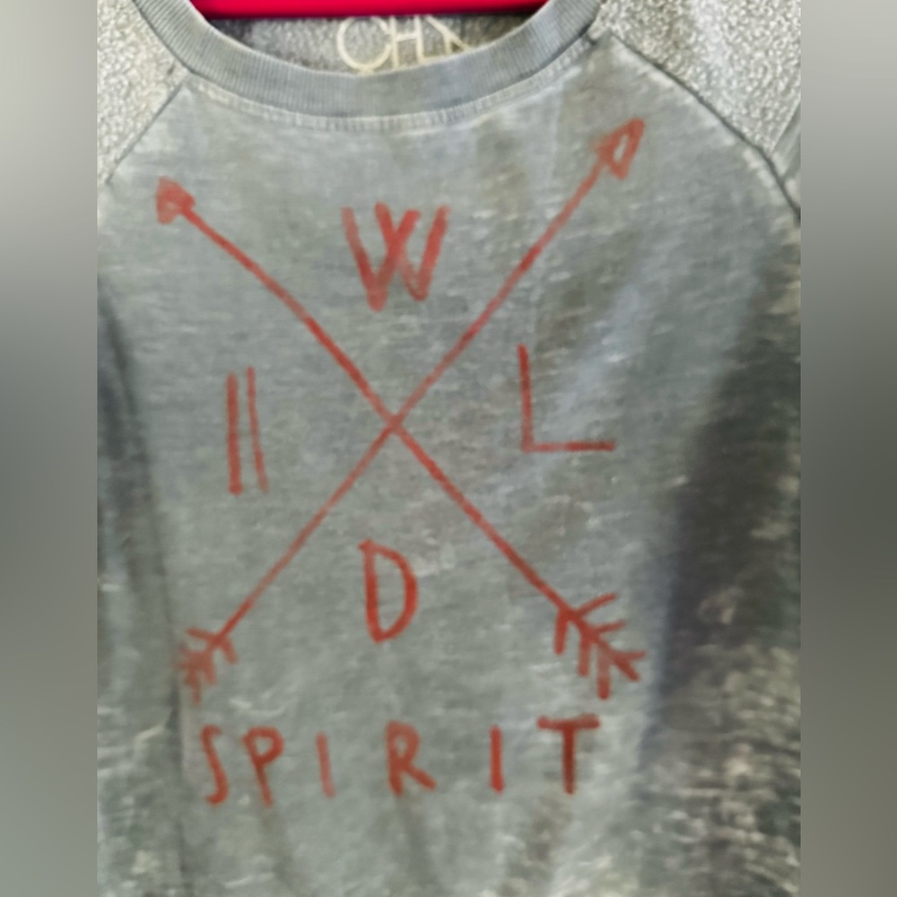 Chaser Wildfox Sweater Lightweight sweatshirt XS NWOT - Picture 3 of 4